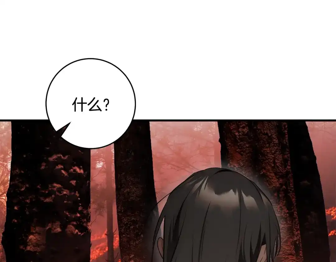 第315页
