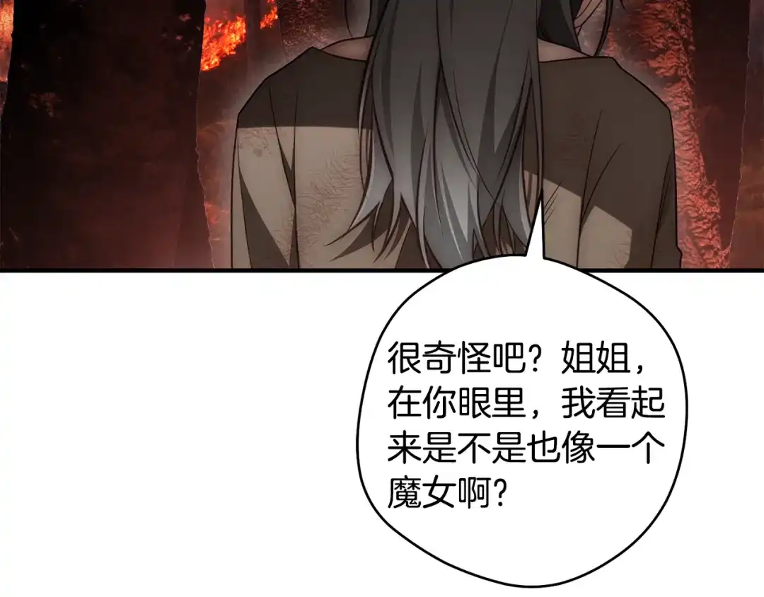 第316页