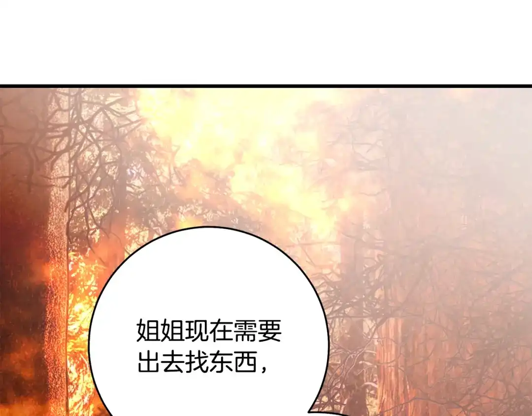 执剑之花 第46话 善良的人 第211页