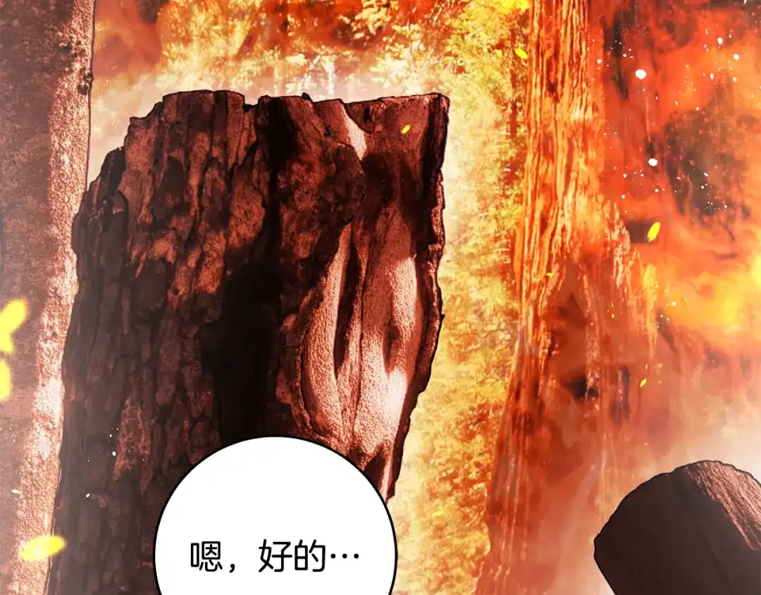 执剑之花 第46话 善良的人 第213页