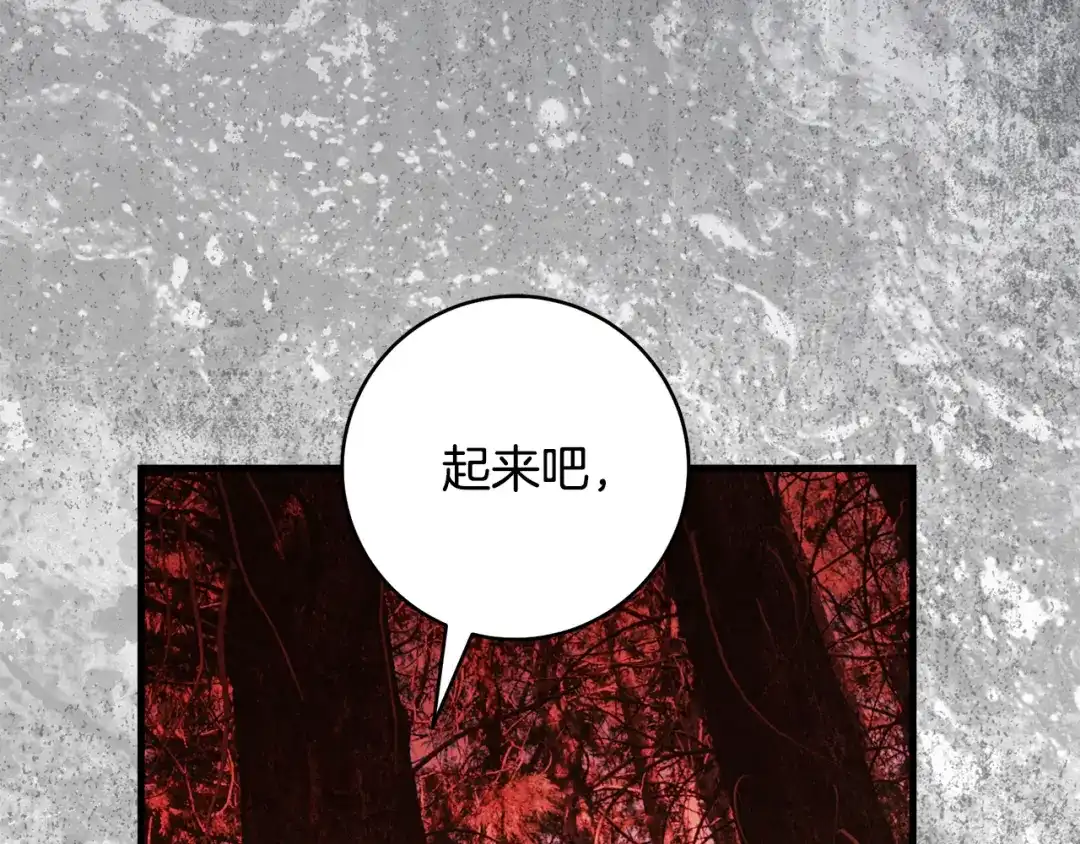 执剑之花 第46话 善良的人 第223页