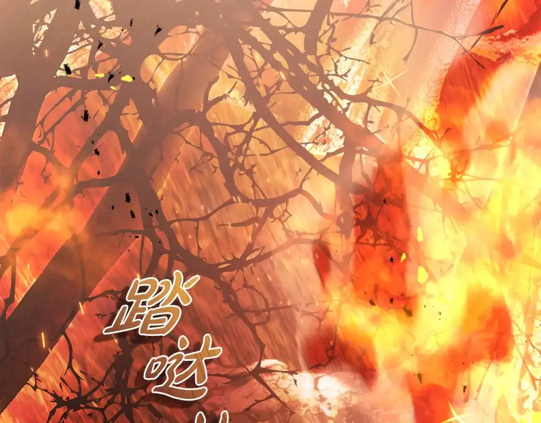 执剑之花 第46话 善良的人 第231页