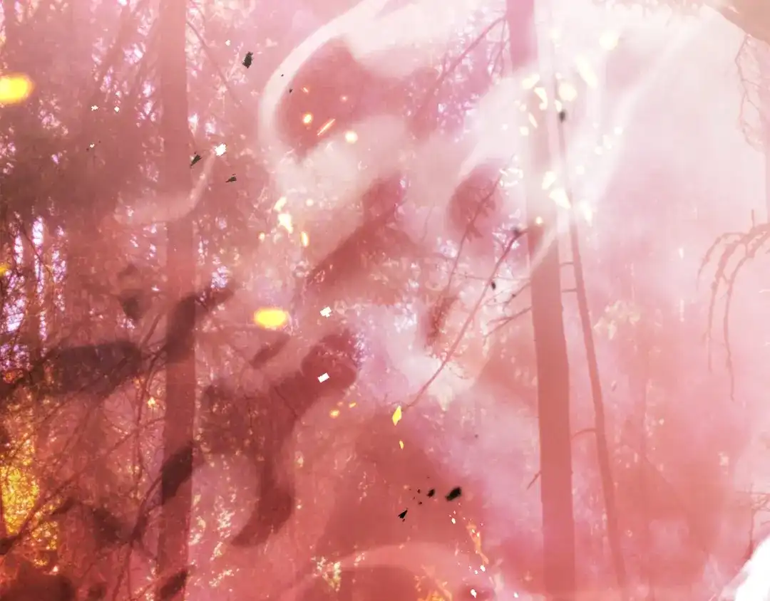 执剑之花 第46话 善良的人 第279页