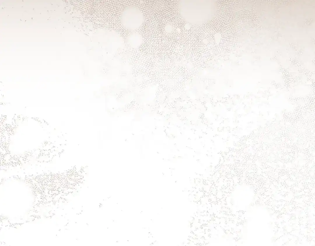 执剑之花 第51话 第一次相遇 第150页