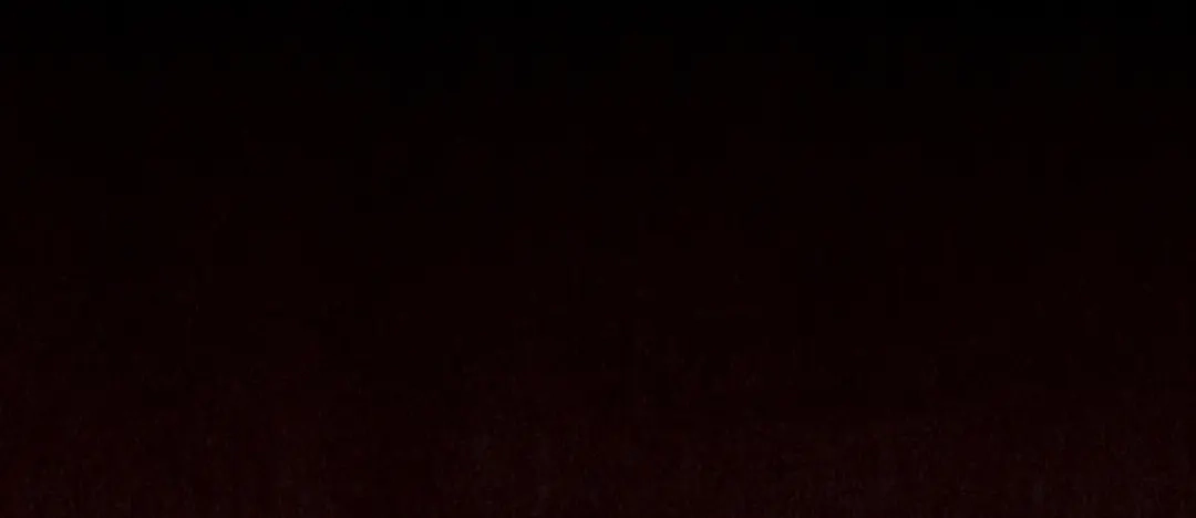 第229页