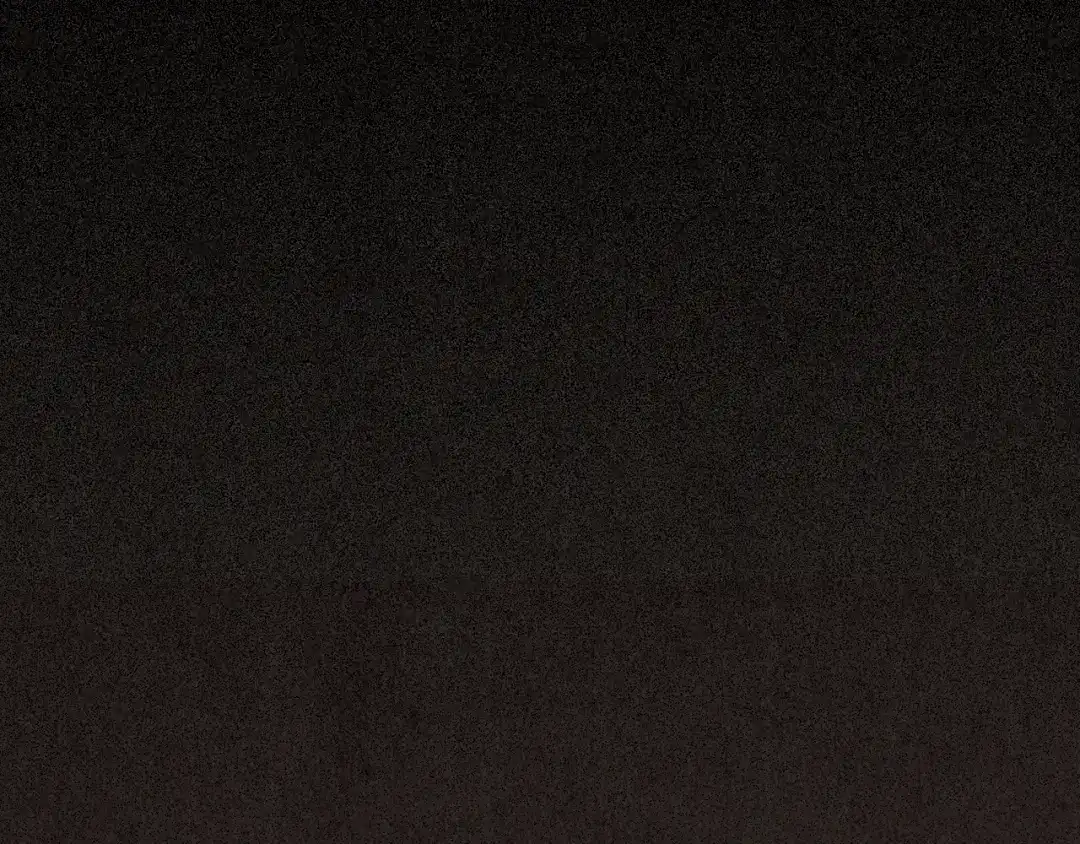 第369页