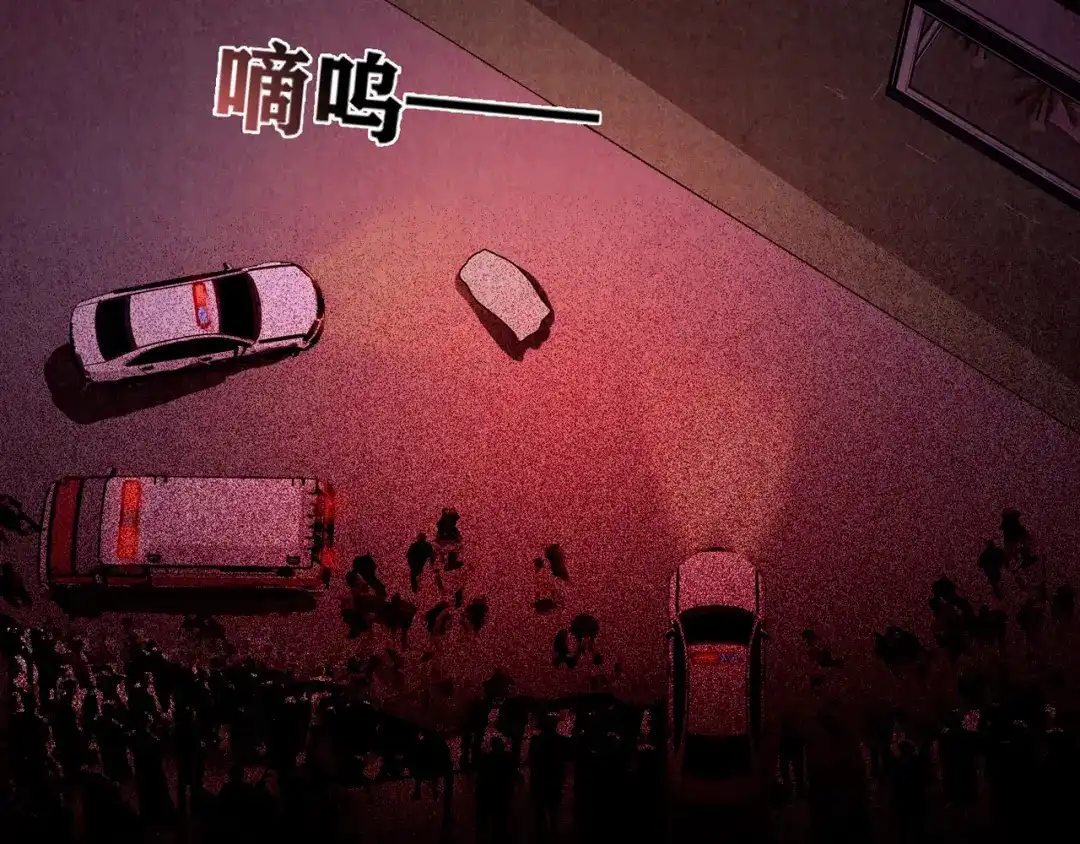 第339页