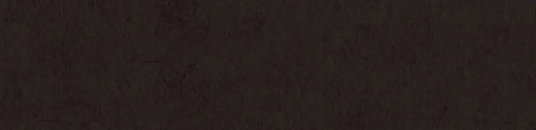 第411页