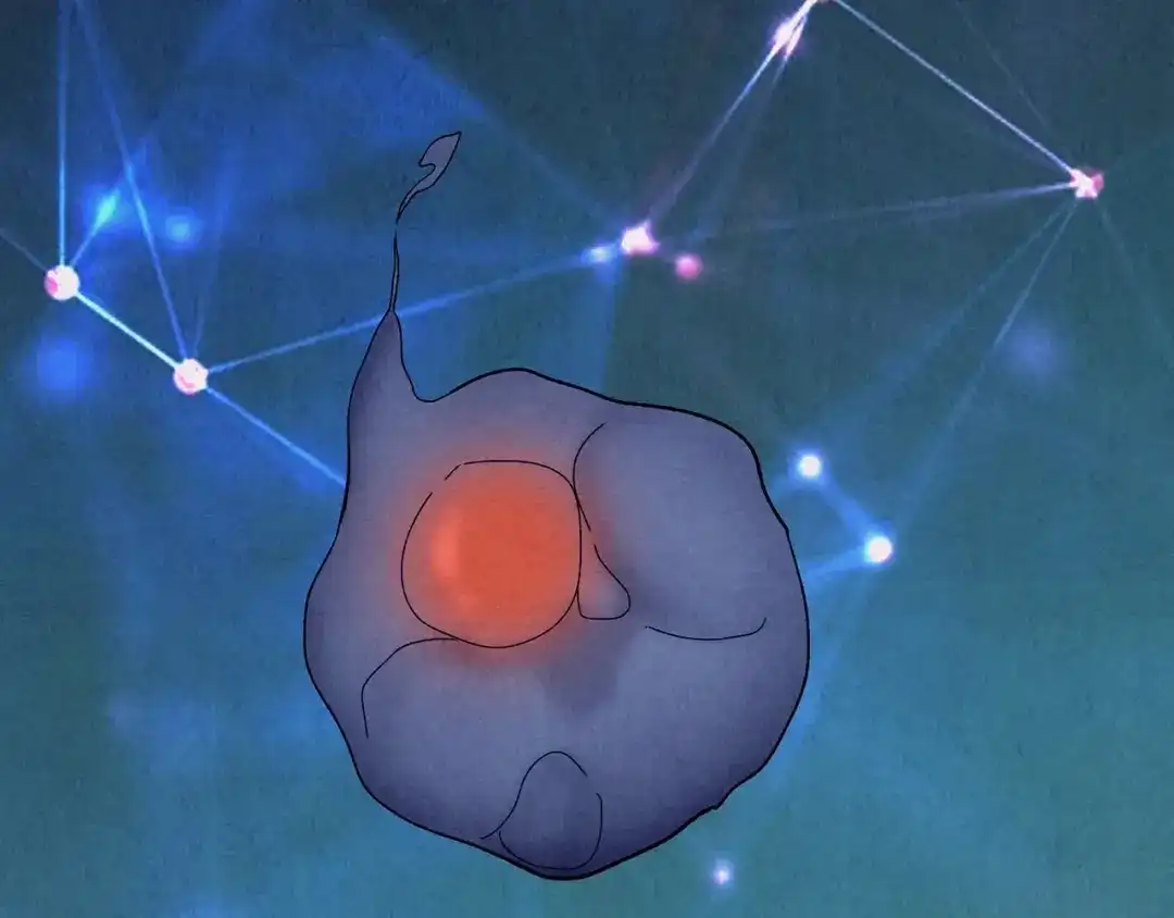 第415页