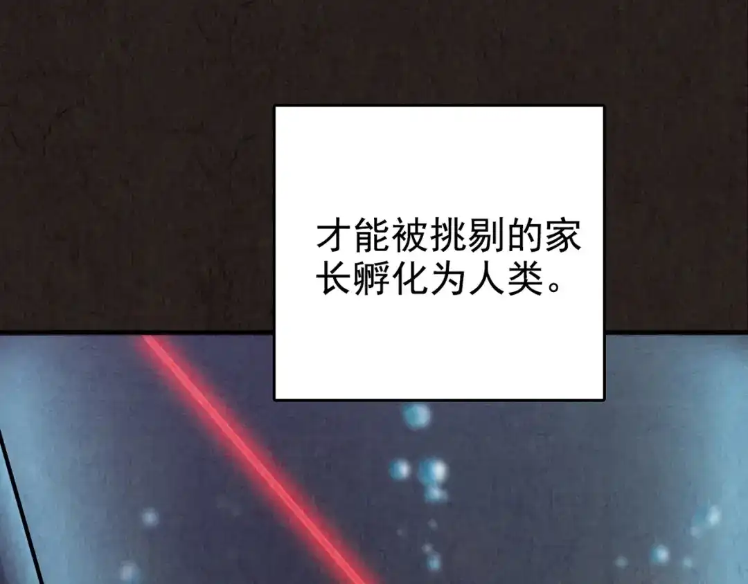第492页