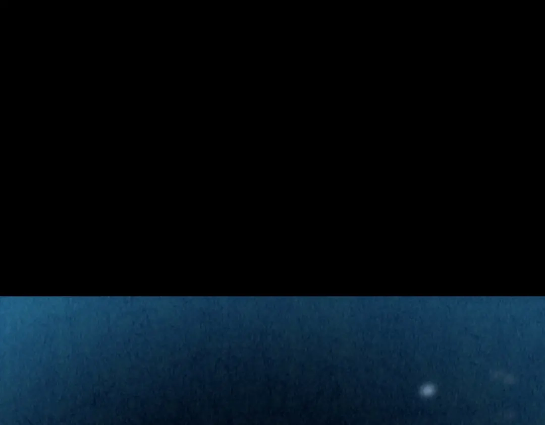 第503页