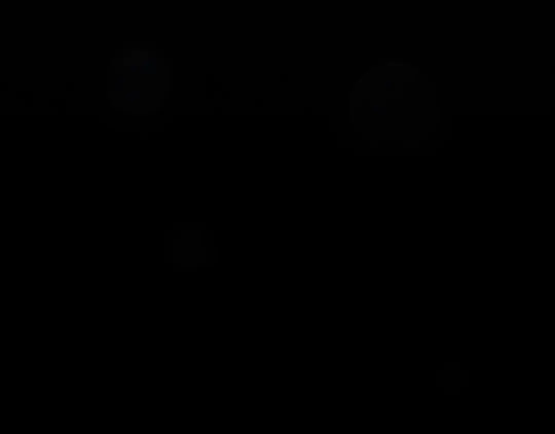 第555页