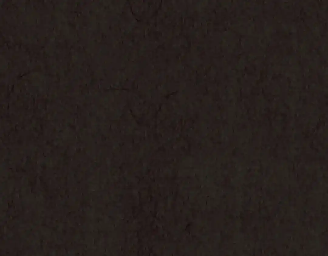 第225页