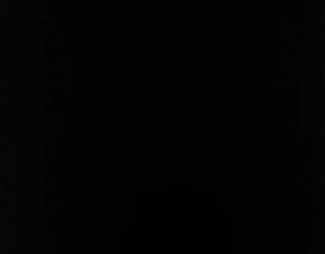 第233页
