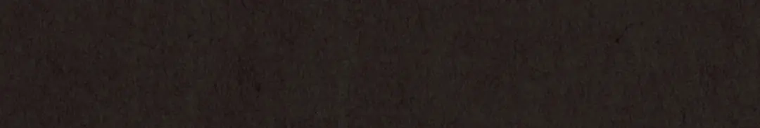 第305页