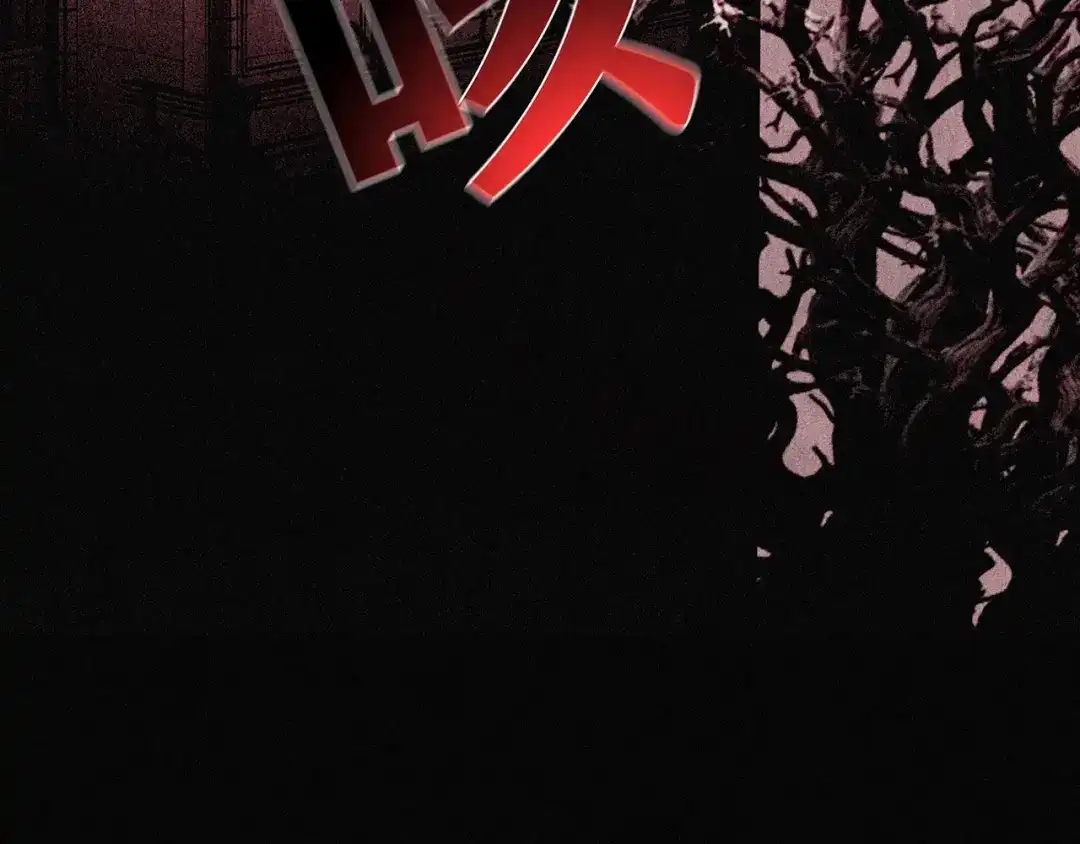第241页