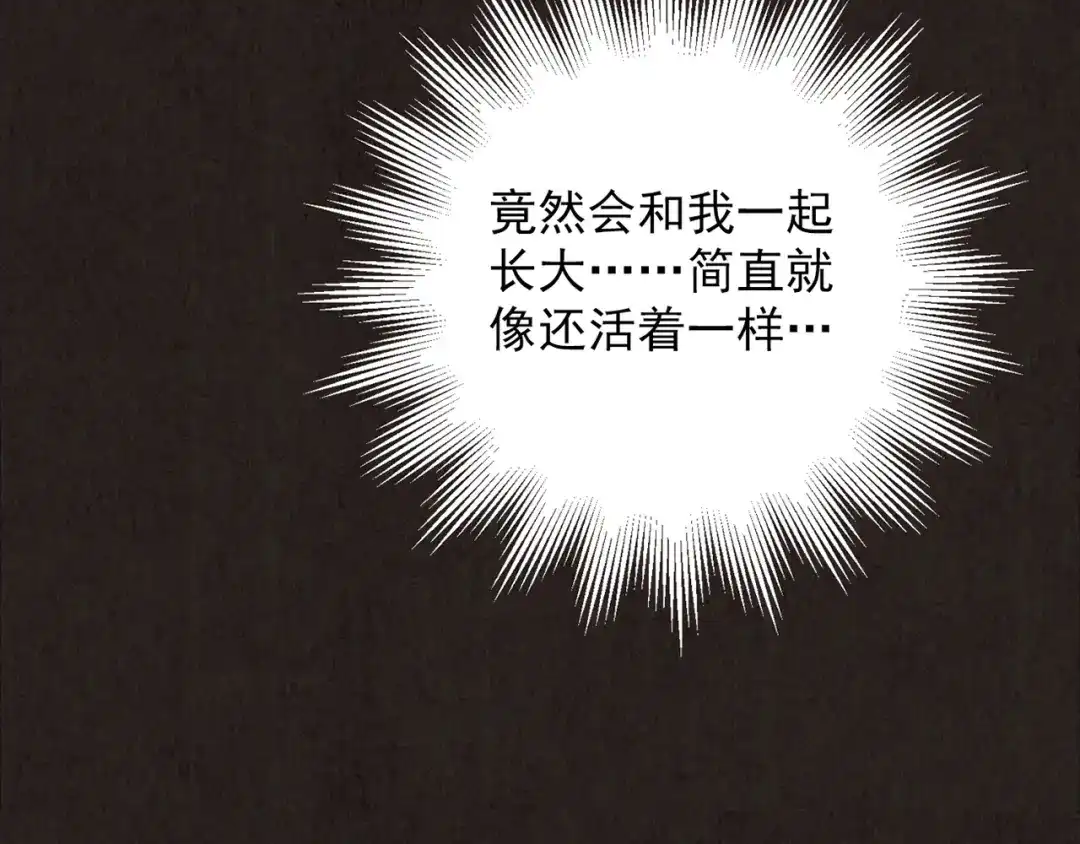 第251页