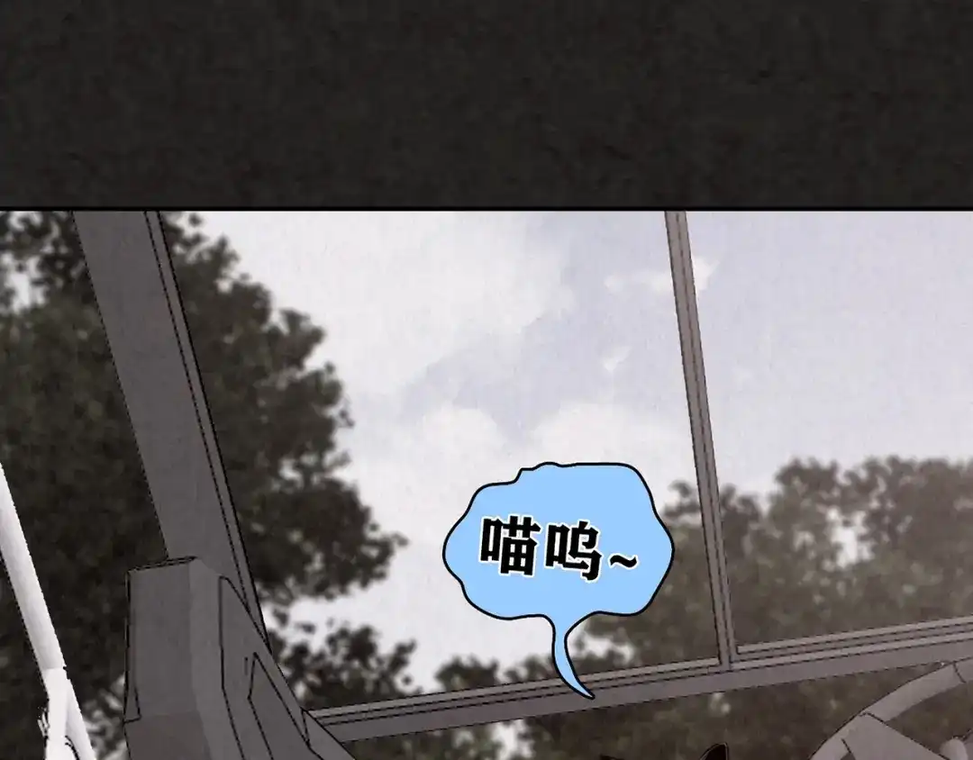 第266页