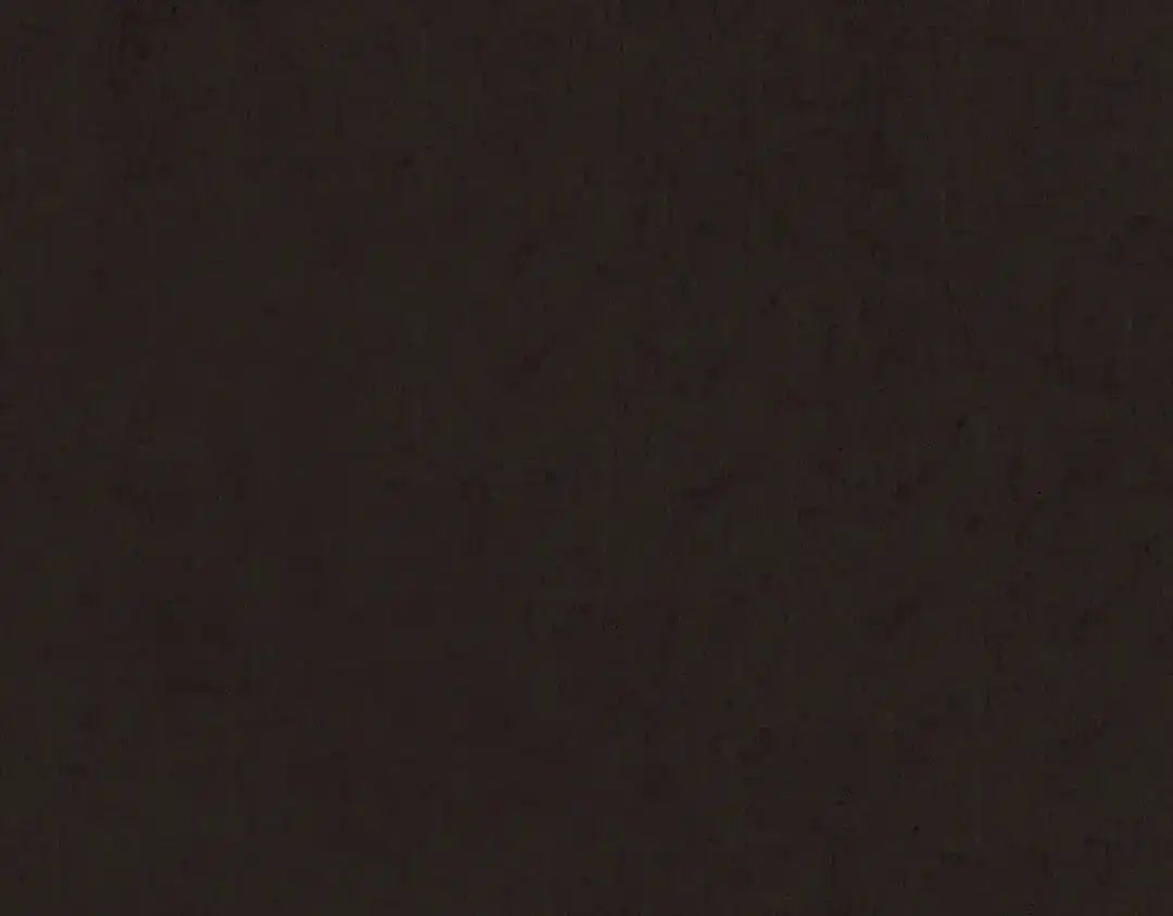 第233页