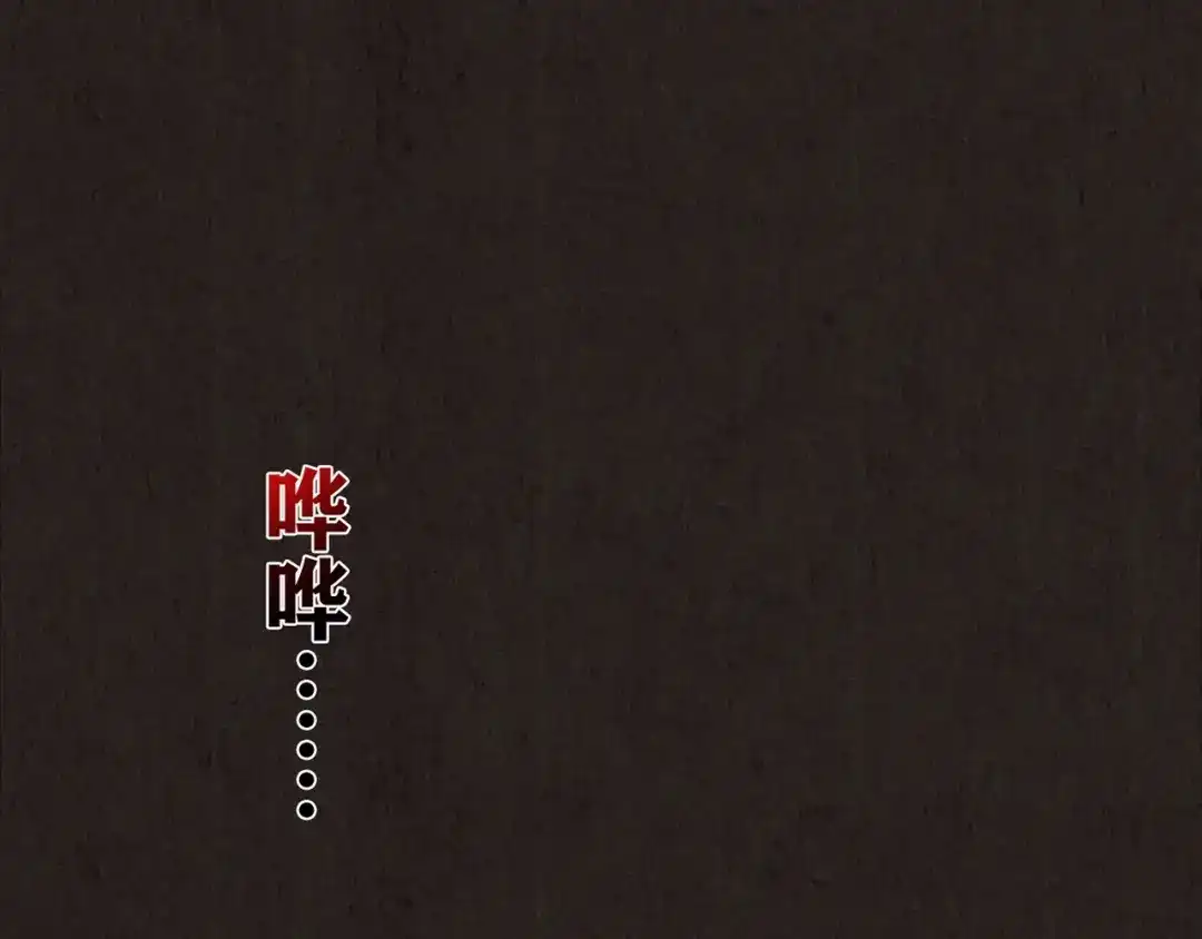 第531页