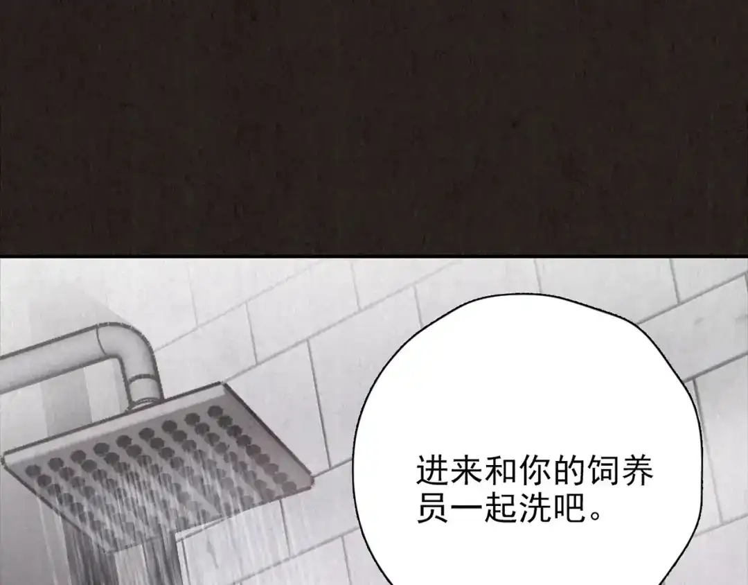 第480页