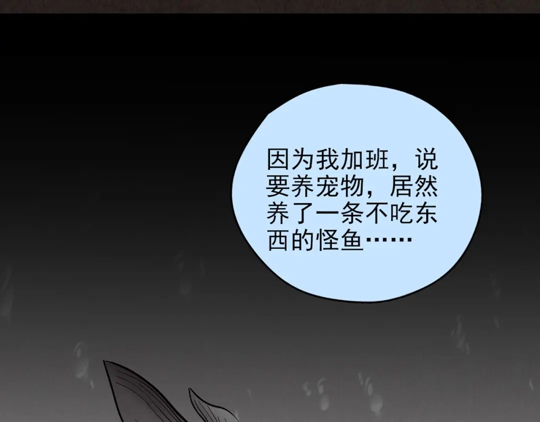 第511页