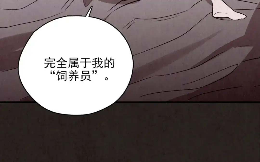 第525页