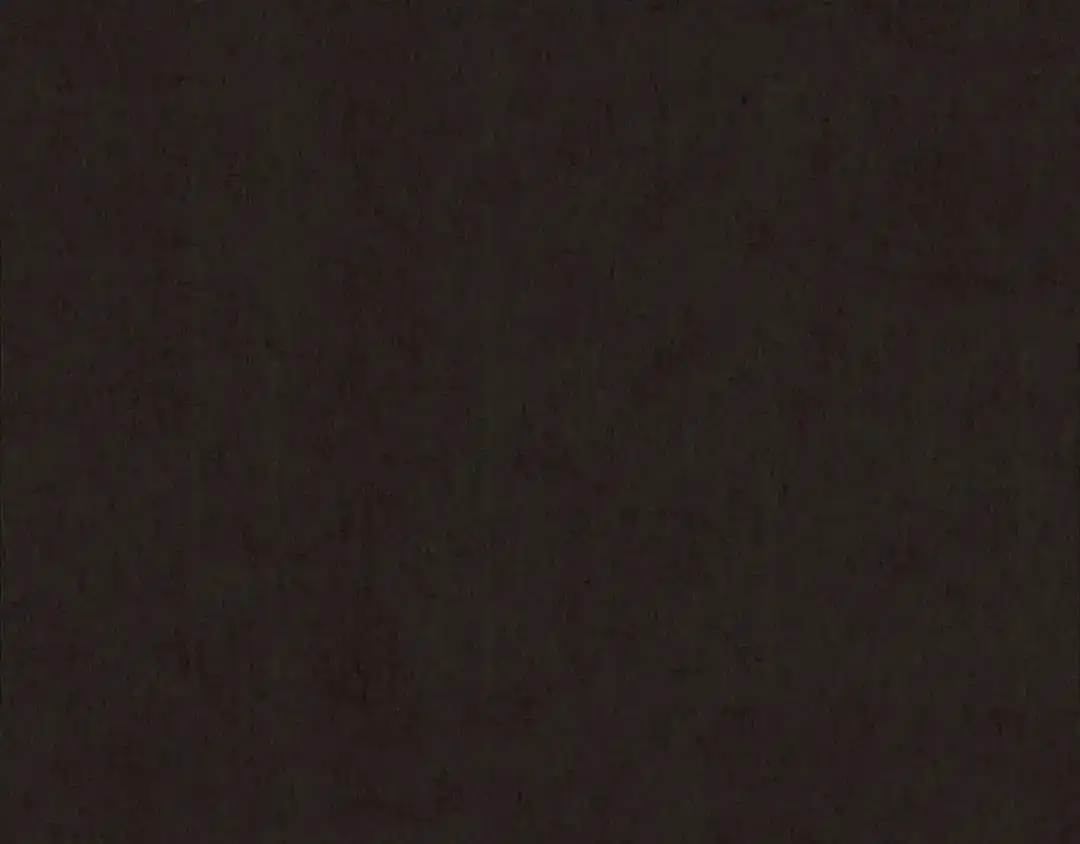 第558页