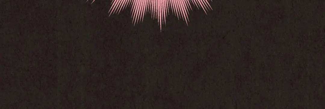 第209页