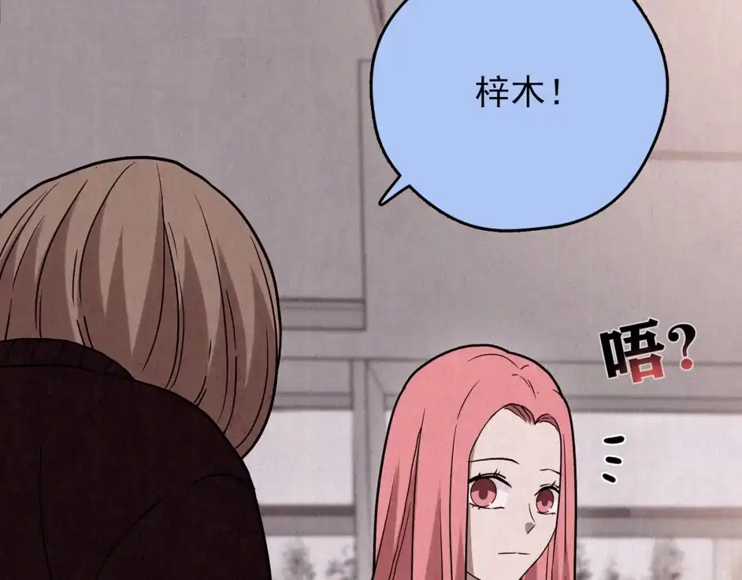 第253页