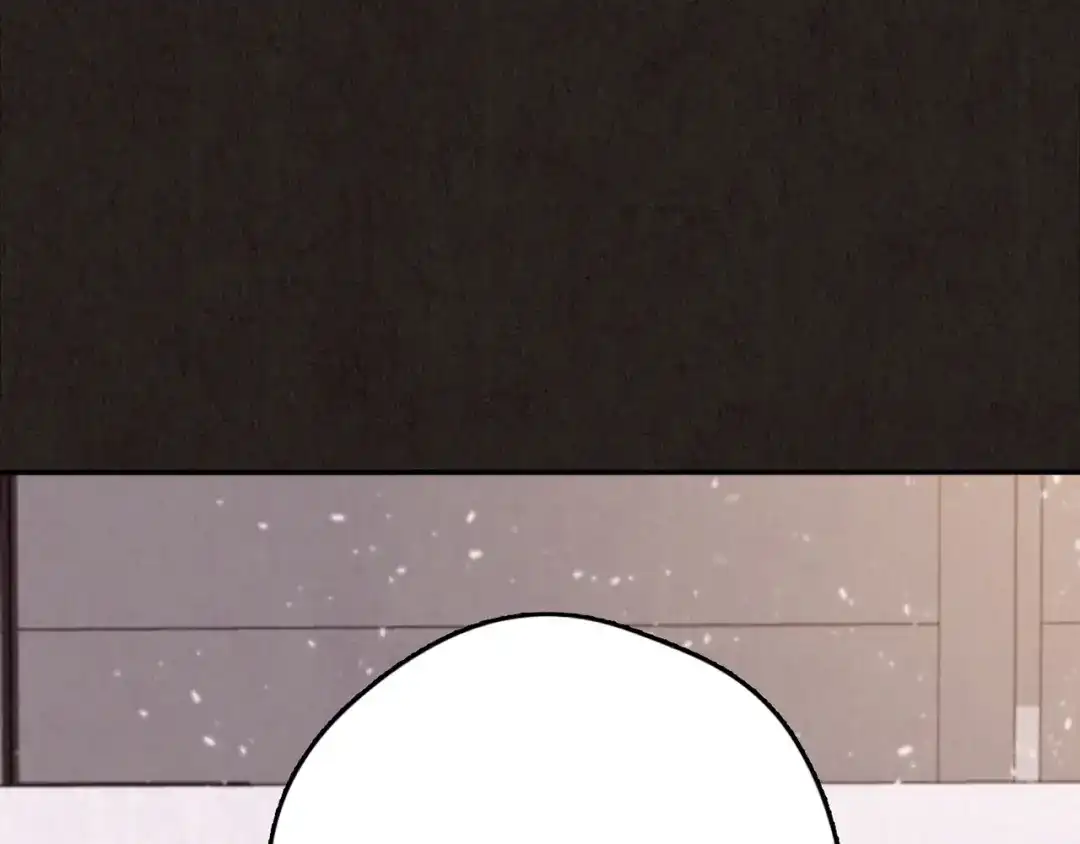 第333页