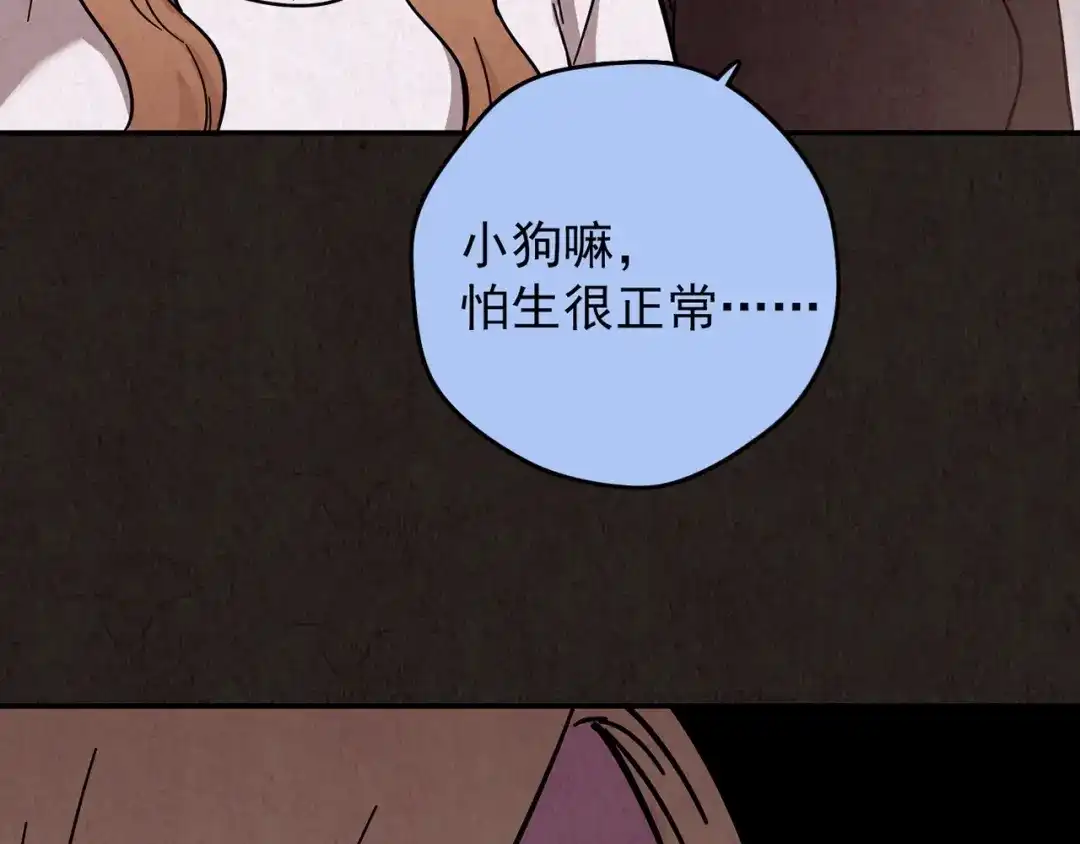 第369页