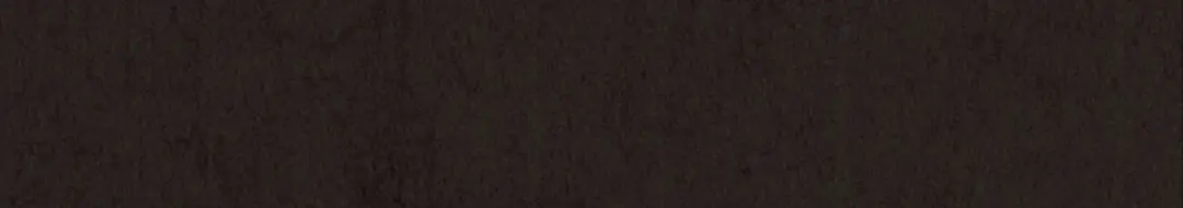 第569页