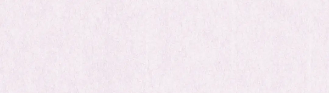 第959页