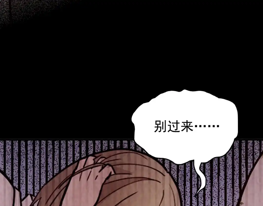 第215页