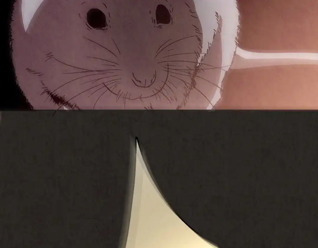 第239页