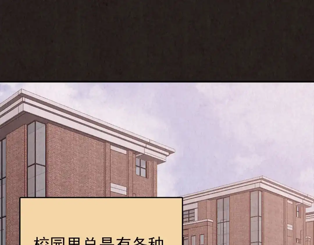第335页