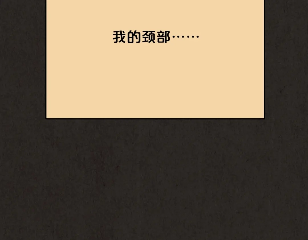 第206页