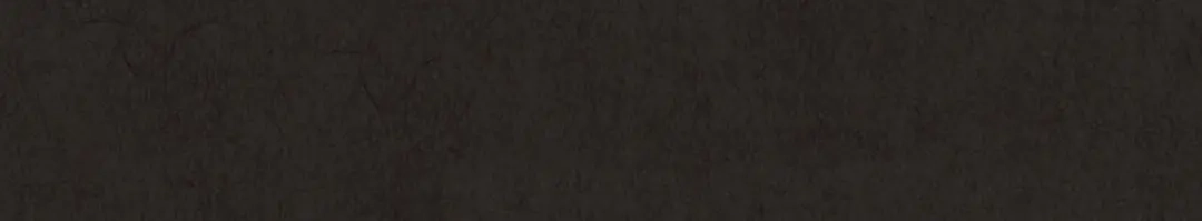 第224页