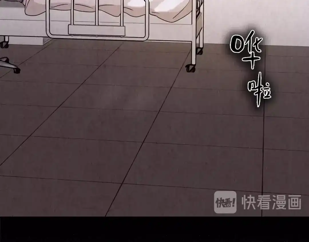 第244页