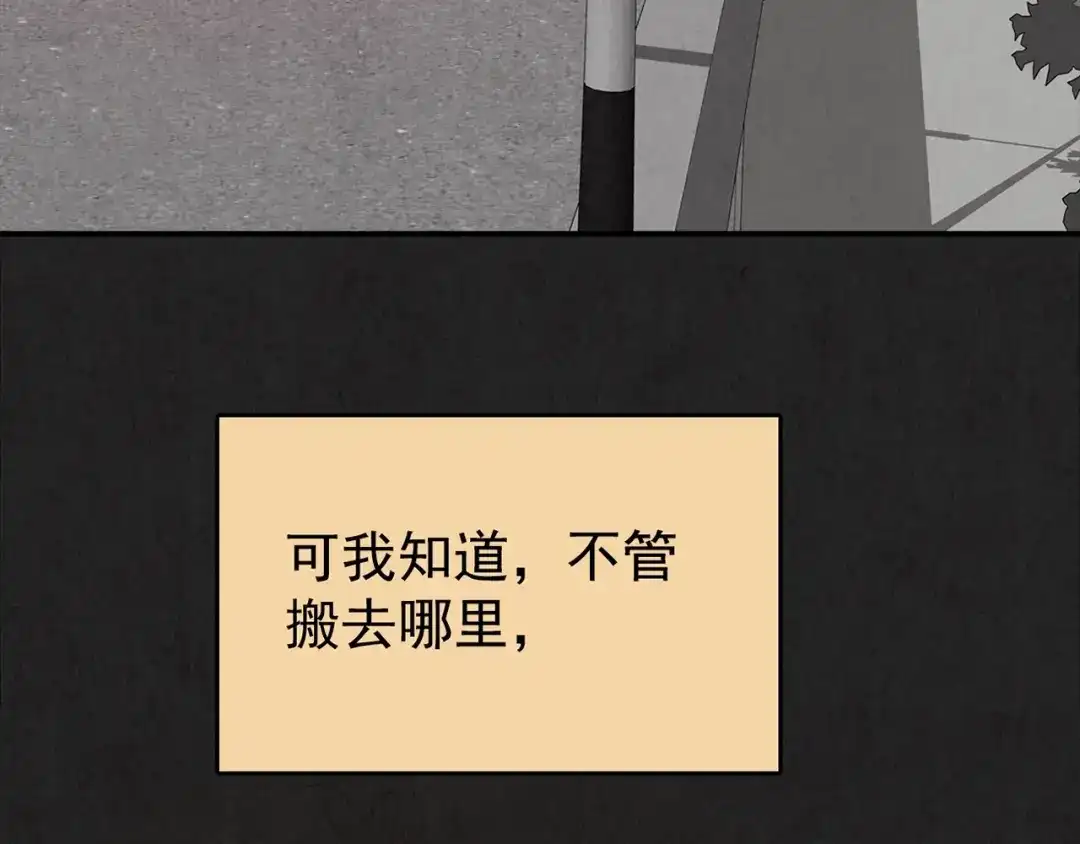 第494页