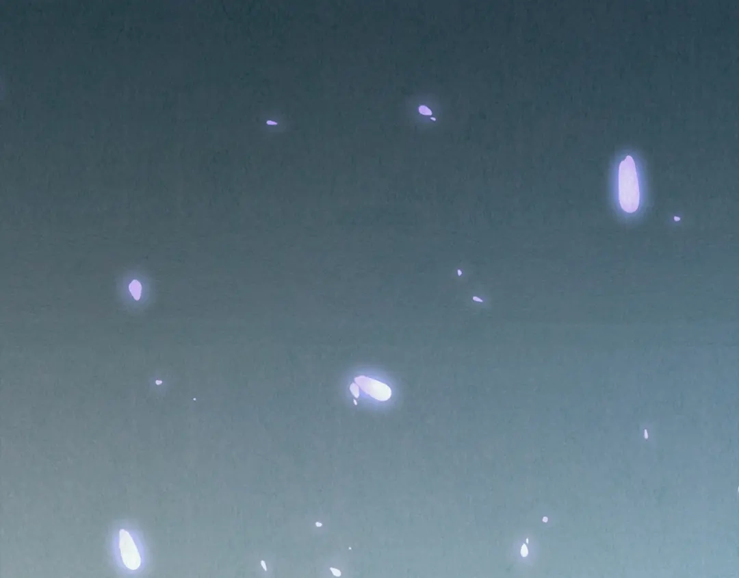 第270页