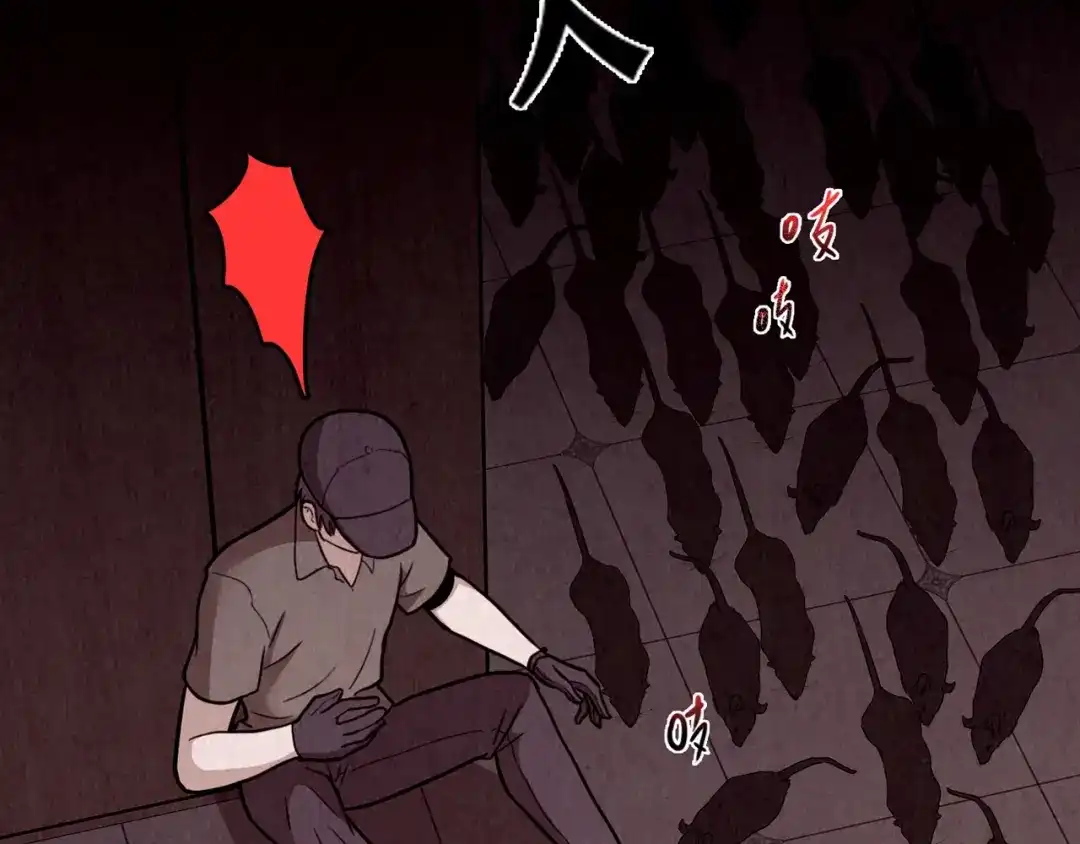 第515页