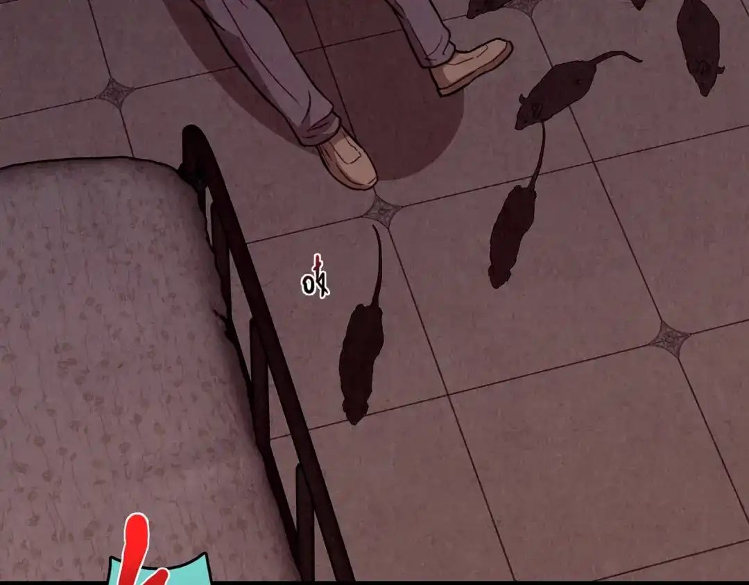第516页