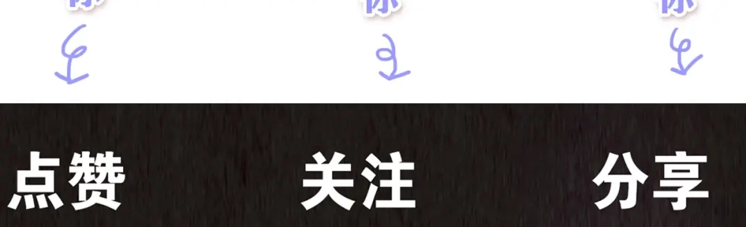 第799页