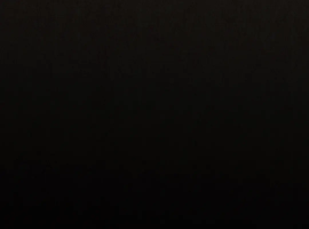 第234页