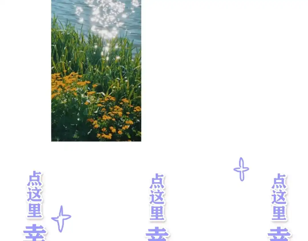 第494页