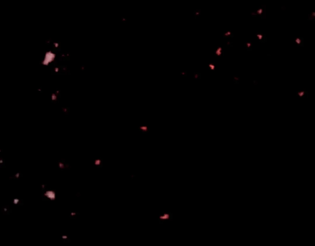 第431页