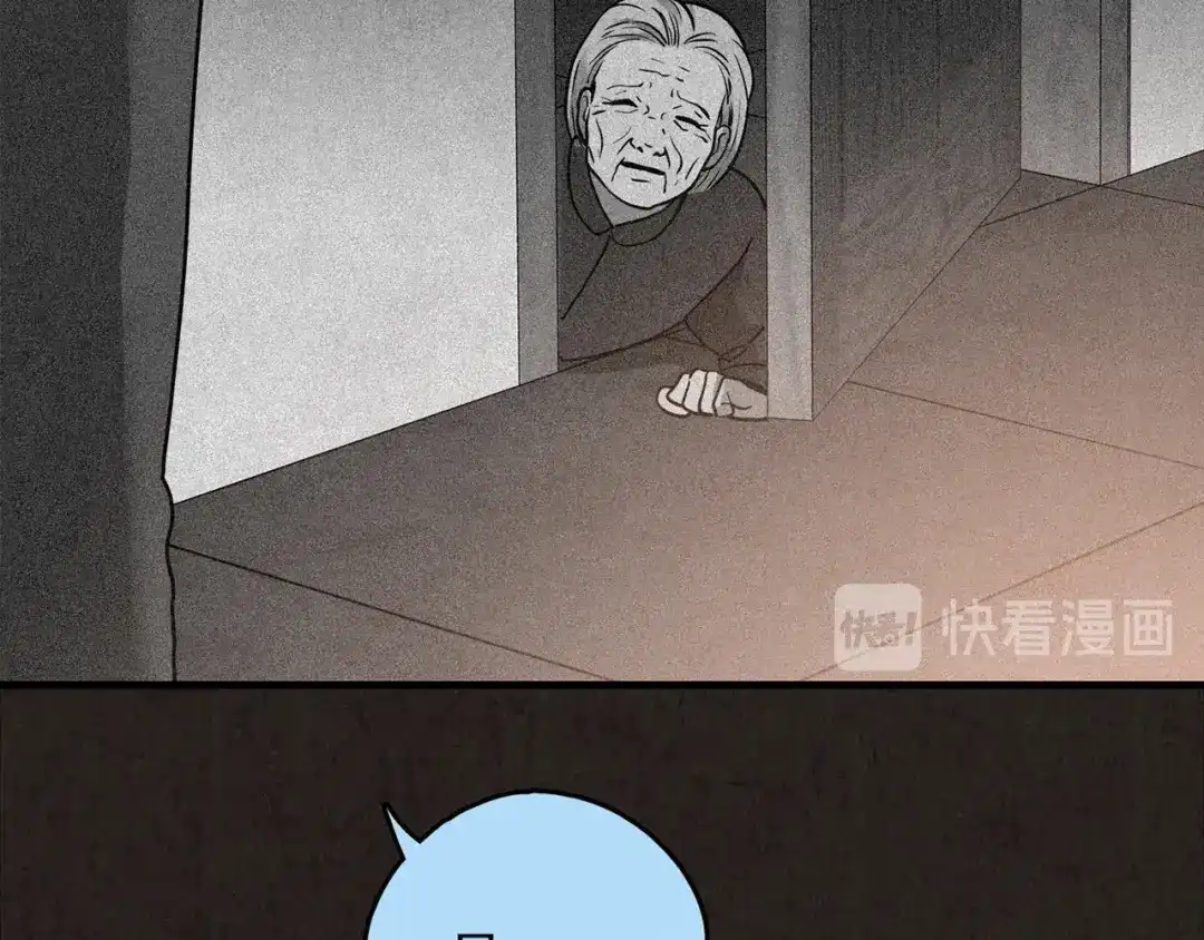 第517页