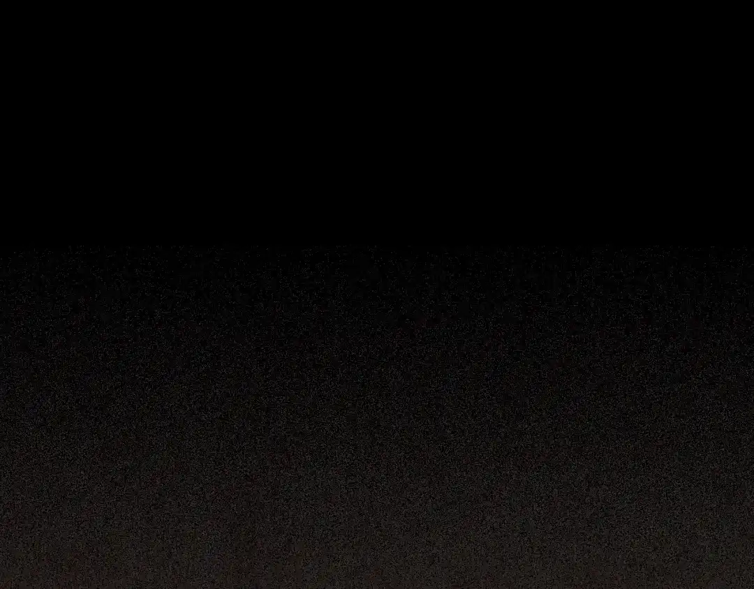 第288页
